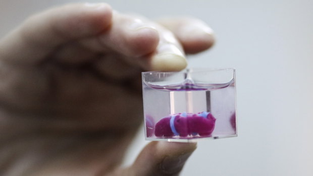A researcher holds a 3D-printed prototype of a human heart at Tel-Aviv University.