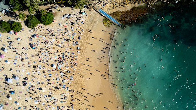 Shelly Beach é conhecida por suas águas calmas e cristalinas dentro da Reserva Aquática Cabbage Tree Bay. É popular para mergulho com snorkel e com snorkel.