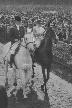 Ray Neville brings Rimfire back to scale after winning the 1948 Melbourne Cup.