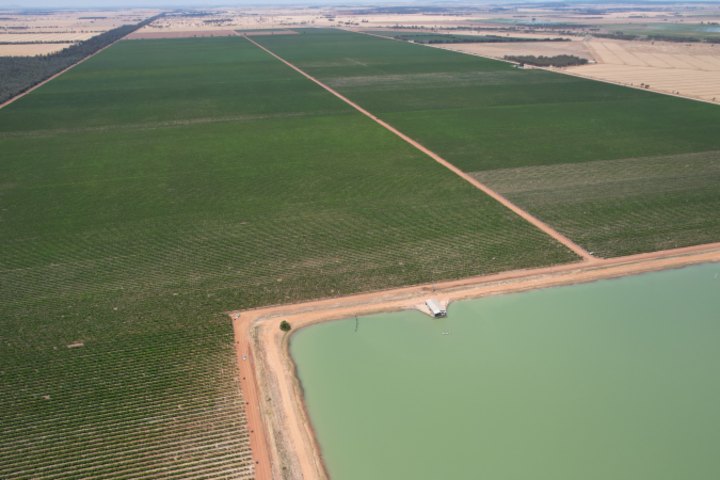 goFARM has bought the Stephendale Vineyard near Griffith and will pull out all the vines.