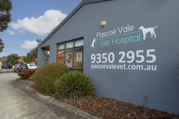 There were over 50 bids for this veterinary practice in Pascoe Vale owned by private equity giant EQT.