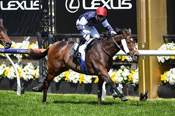 Jye McNeil and Twilight Payment take out the 2020 Melbourne Cup for Lloyd Williams.
