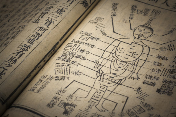 Part of a Chinese traditional herbal medicine book.