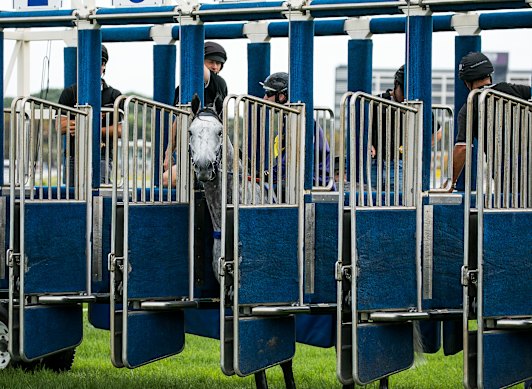 Chautauqua refused to race at the end of his career, staying in the barriers.