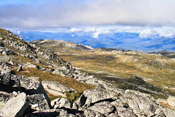 The climb to the peak of Kosciuszko hardly seems worth it.