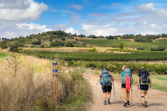 Walking poles are “kinder to the knees”.