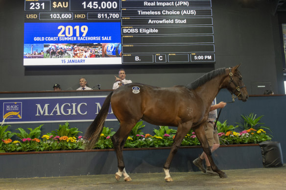 The horse now known as Count De Rupee in the sales ring at Magic Millions two years ago.