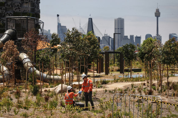 Investigators collect asbestos samples from Rozelle Parklands.