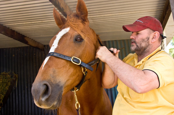 Stephen Cookson during the time of his relationship with Torney.