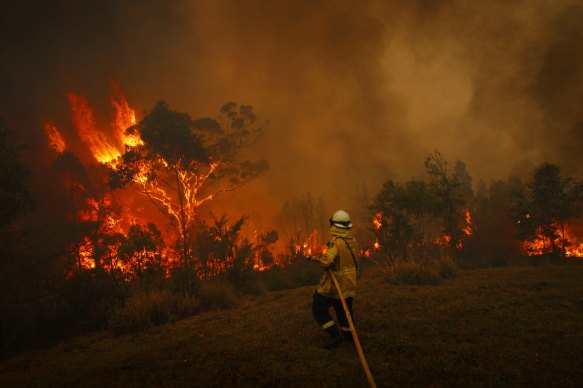 Firefighters battle flare ups at Colo Heights on November 19.