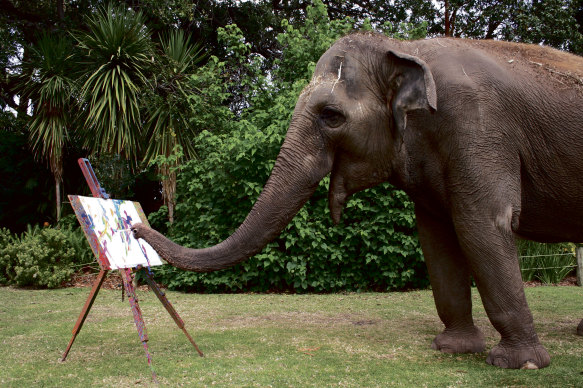 Tricia the elephant was known for her painting skills.