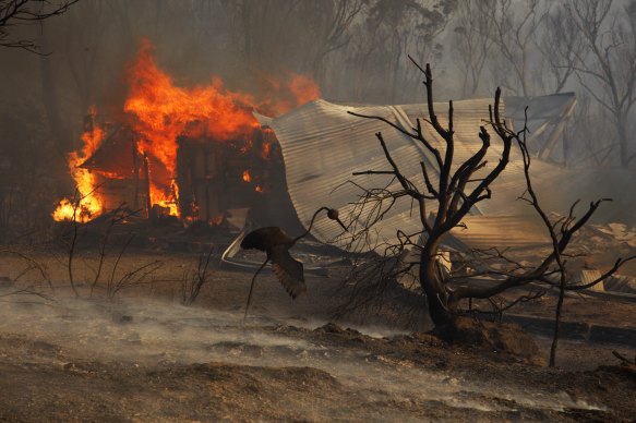 The fire at Dargan on Saturday consumes a building 