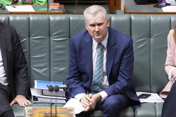 Minister for Employment and Workplace Relations Tony Burke in parliament last month.
