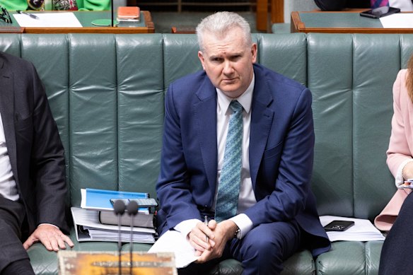 Minister for Employment and Workplace Relations Tony Burke in parliament last month.