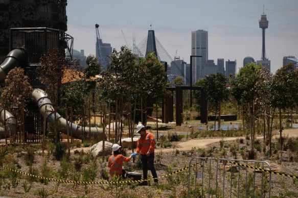 Asbestos was originally found in the mulch at the newly opened Rozelle Parklands in January.