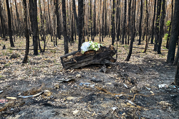 The body of Hannah McGuire was found in her burnt-out car in bushland near Ballarat in April.