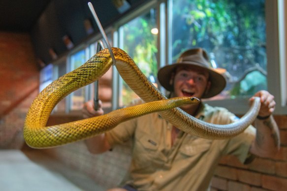 Ballarat Wildlife Park’s head of reptiles Jack Gatto with his “beautiful” Priscilla.