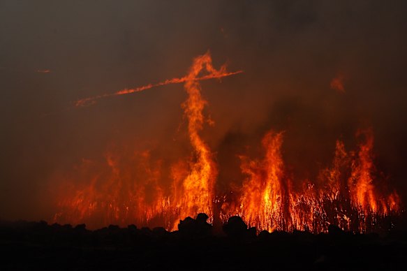 A fire front jumps the Monaro Highway near Bredbo, NSW during Black Summer.