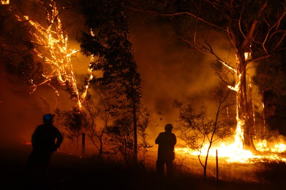 Firefighters battle the Gospers Mountain fire near Colo Heights.