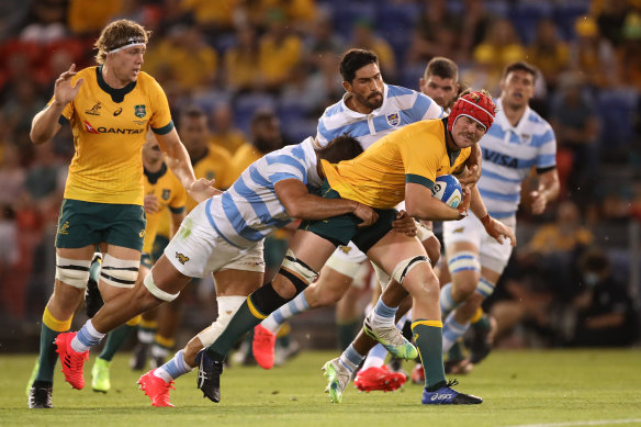 Harry Wilson in action for the Wallabies against Argentina in Newcastle.