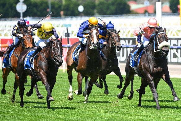 Blake Shinn on My Yankee Girl (yellow) was relegated to second behind Invincible Caviar (pink) for whip breaches after dead heating at Flemington.