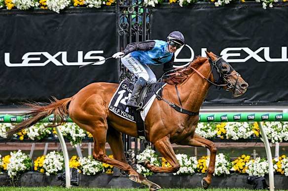 Jamie Melham rides Half Yours to victory in the 2025 Melbourne Cup.