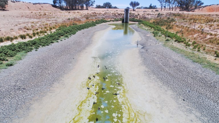 Lake Cawndilla, one of the Menindee Lakes, is now largely dry. (January 10, 2019.)