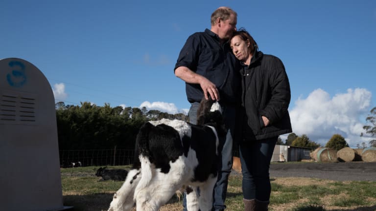 Farmers like the Whatmans say they've gone backwards since  private-label milk was introduced.