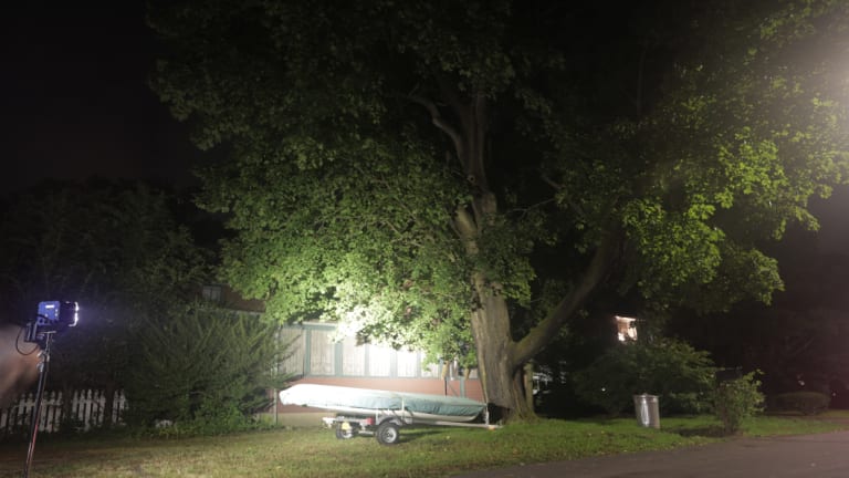 Paul Rosenfeld's home, in which he allegedly built a 90-kilogram bomb, is illuminated by the media's lights on Wednesday night.