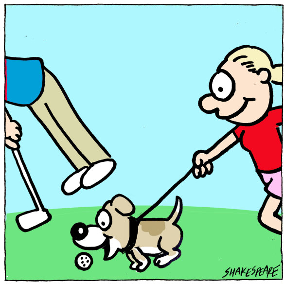 Developer greed or open space for thousands?