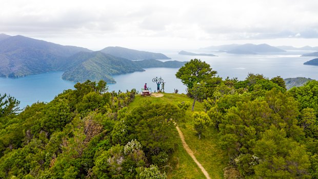 Mountain bikers on the Queen Charlotte Track in the Marlborough Sounds.