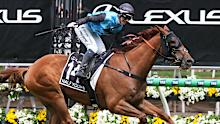 Jamie Melham wins the Melbourne Cup on Half Yours.