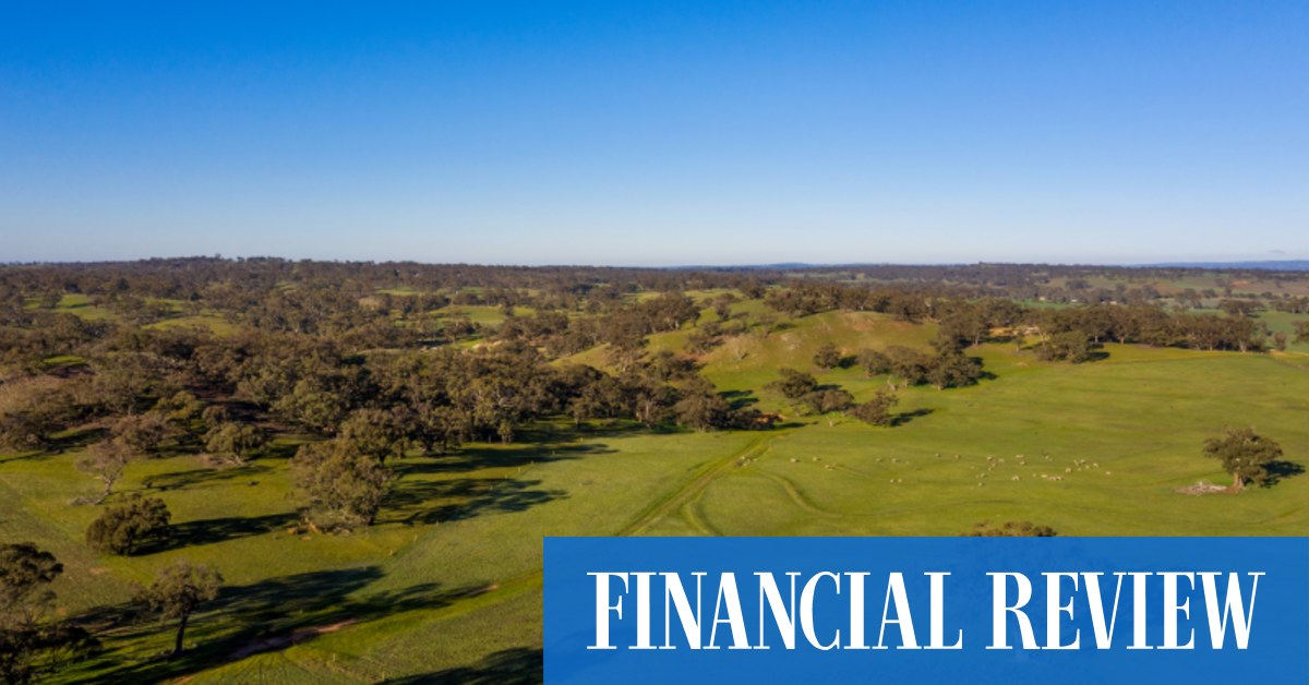 Historic Barossa sheep stations broken up and sold off - Vimarsana News