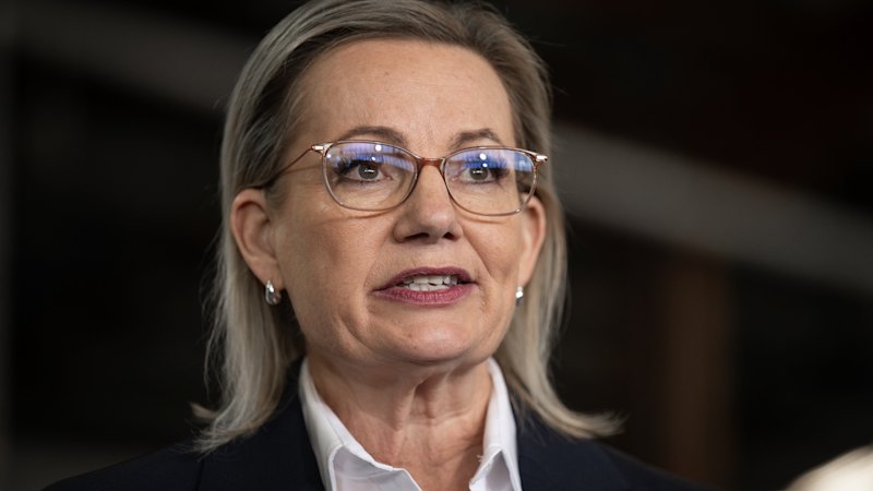 smh.com.au - Mike Foley, Nick Toscano - New Liberal energy policy breaches Paris climate agreement, backs in coal