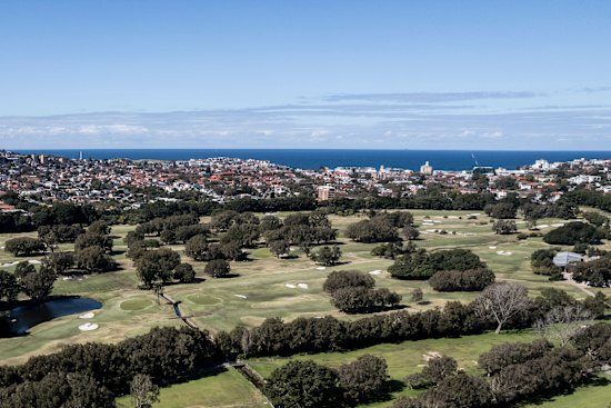 Long-established trees make Royal Sydney’s course “an ark”, says one redevelopment opponent. “There’s a lot of habitat in there that supports the remnant wildlife.” 