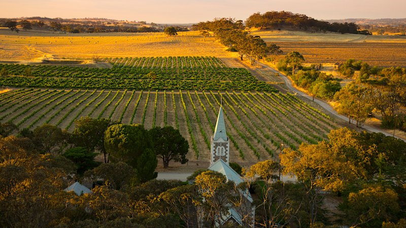 Avstralska vinska klet edina iz države na seznamu 50 najboljših na svetu