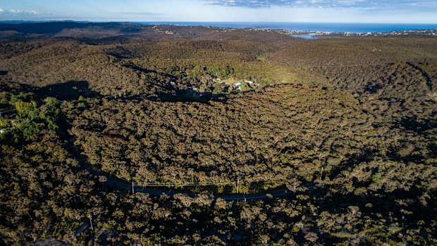 Bushland in Belrose and Oxford Falls would be rezoned for housing and other development under the Metropolitan Local Aboriginal Land Council plan.