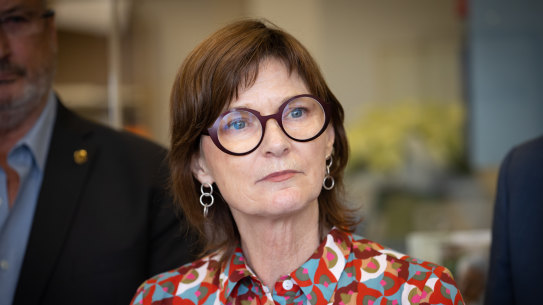 Health Minister Mary-Anne Thomas has previously suggested that hospitals have the resources they need to meet compliance costs. 