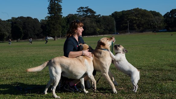 Dog walker Demi Brooker with Harvey, Lily, Kele and Coco at Queens Park. 