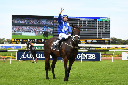 The queen: Winx will make a guest appearance on the first day of The Championships at Randwick on Saturday.