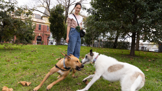 Emily and her Staffy, Giorgi, at the Canning and Neill Street Reserve.