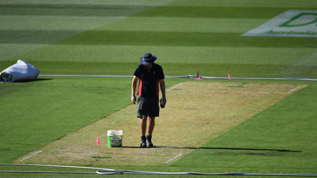 THe Boxing Day pitch saw the Test get off to a slow start.