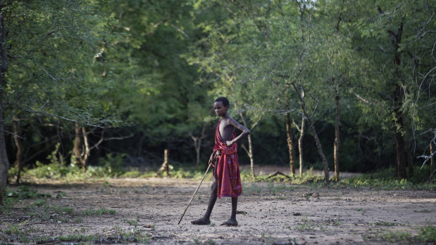 A young Maasai herder boy stands in the bush at the end of the day near Mikumi National Park in Tanzania.