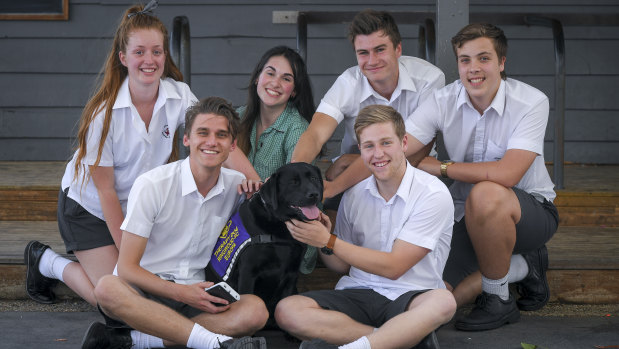 Michael Syme and Mitch Hart (front), with Ebony Llewelyn, Kayla Jenkins, Lachlan Shield and Charlie Wakeham (rear) and the school's therapy dog - Europa.