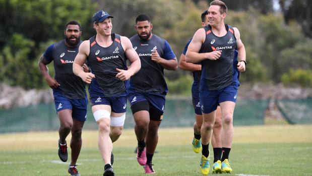 Fitness fracas: David Pocock, front left, and Dane Haylett-Petty, front right, were injured in the Wallabies January fitness camp.