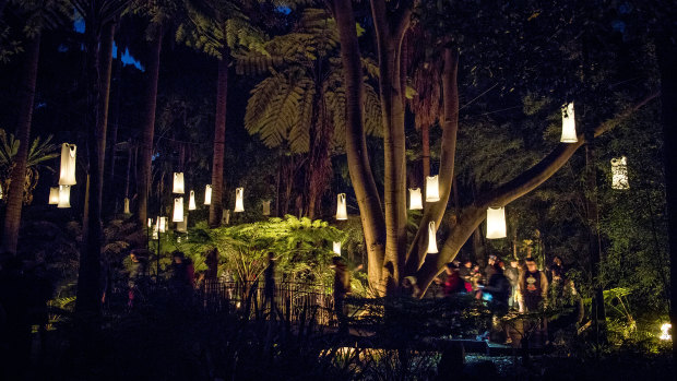 People walk through the fern gully with its singlet lanterns.