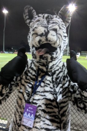 One for the ages: Moreland mascot Ziggy the zebra goes national at the FFA Cup match against Queensland's Magpies Crusaders.