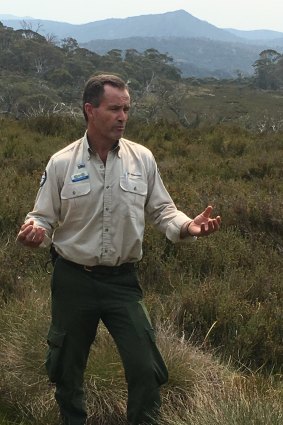 ACT Parks manager Brett McNamara, amid the fragile moss high in the mountains to Canberra's west