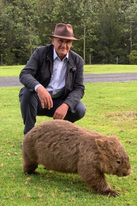 Former Treasury secretary Ken Henry with a wild wombat in the Southern Highlands about four years ago.