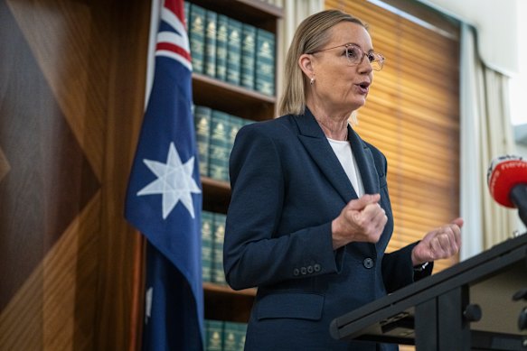 Opposition Leader Sussan Ley is now accusing the government of moving with undue haste with its race hate legislation.